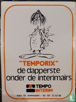 temporix,de dapperste onder de interimairs