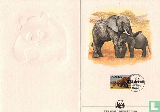 Éléphant d'Afrique - Image 1