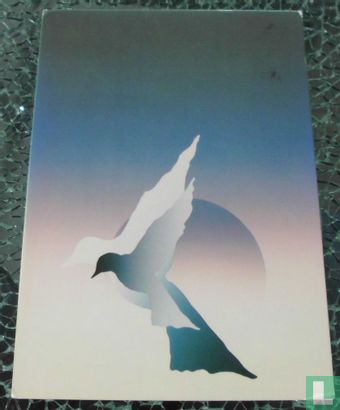 Witte duif - Image 1