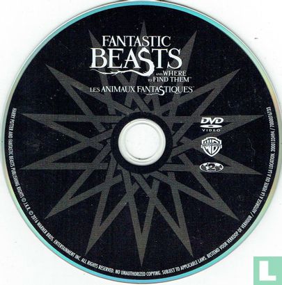 Fantastic Beasts and Where to Find Them / Les Animaux Fantastiques - Image 3