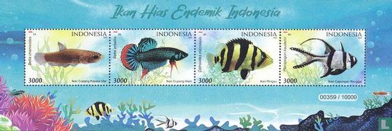 Endemische siervissen van Indonesia