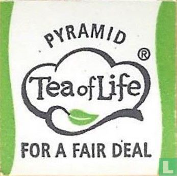 Pyramid TeaofLife for a fair deal - Image 1