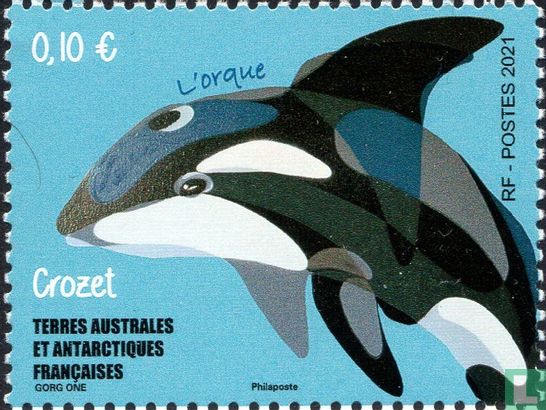 Crozet - The orca