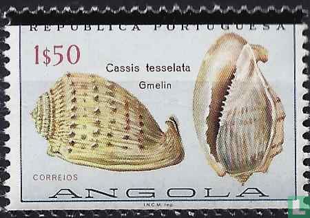 Coquilles