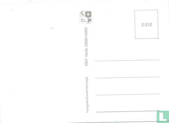 Untitled (2-212) - Image 2