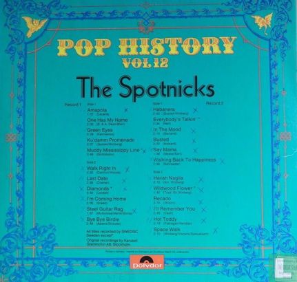 Pop History Vol 12 The Spotnicks - Afbeelding 2