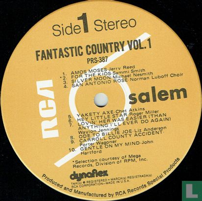 Fantastic Country 1 - Image 3