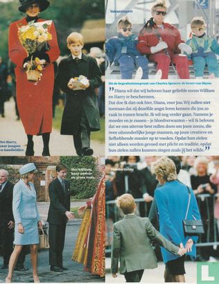Vaarwel Diana, roos van Engeland - Bild 2