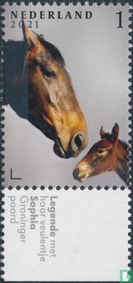 Horses - Image 2