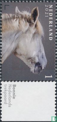 Paarden - Afbeelding 2