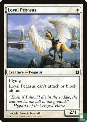 Loyal Pegasus - Afbeelding 1