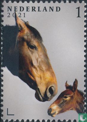 Horses - Image 1