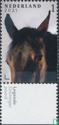 Horses - Image 2