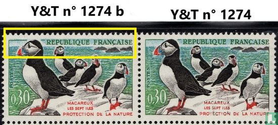 Puffin - Image 2
