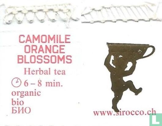 14 Camomile Orange Blossoms - Image 3