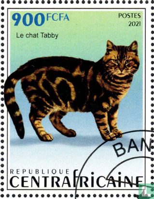 Cats