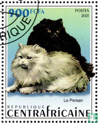 Cats