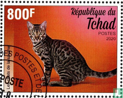 Les chats