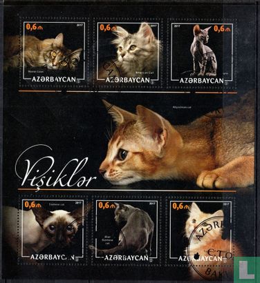 Cats
