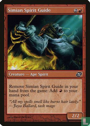 Simian Spirit Guide - Bild 1