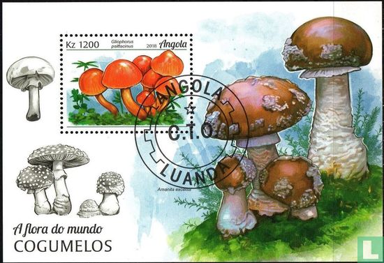 Champignons