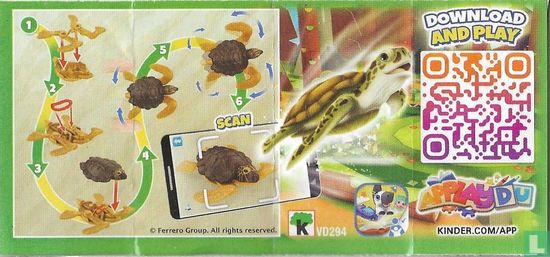 Zeeschildpad - Afbeelding 3
