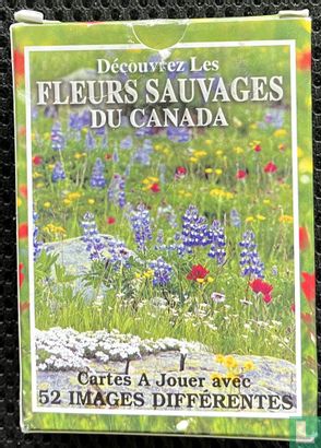 Discover Wild Flowers of Canada - Image 2