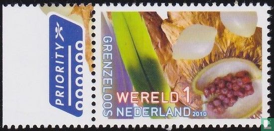 Grenzenlose Niederlande - Suriname