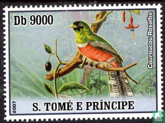 Birds