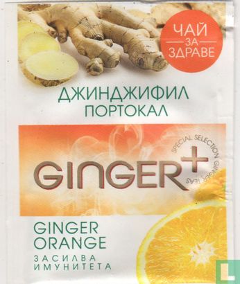 Ginger Orange - Image 1