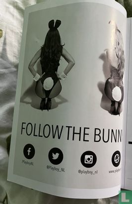 Follow the bunny