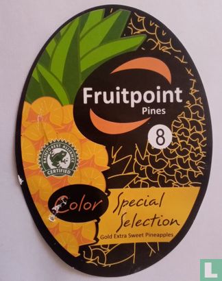 Fruitpoint ananas - Afbeelding 1