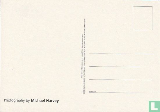Michael Harvey - Afbeelding 2