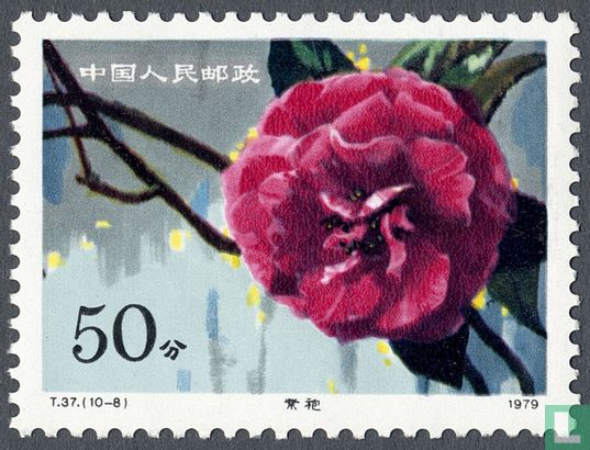 Camellia breeds from Yunnan province