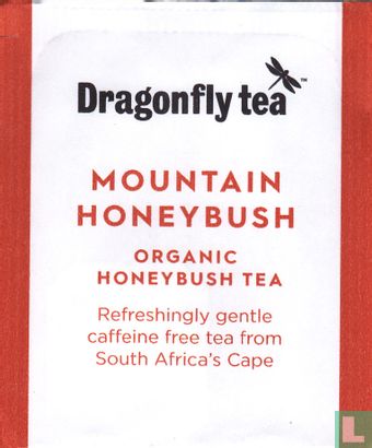 Mountain Honeybush - Image 1