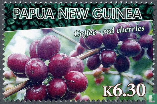 Koffieteelt in Papoea-Nieuw-Guinea
