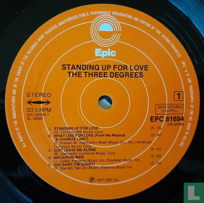 Standing Up for Love - Bild 3