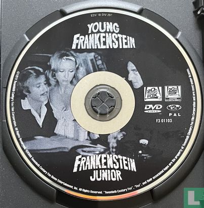 Young Frankenstein - Afbeelding 3