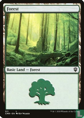 Forest - Image 1