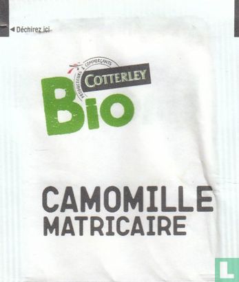 Camomille Matricaire - Image 1