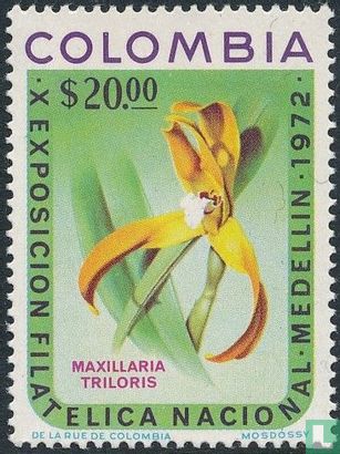 Maxillaria triloris
