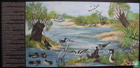 Birds ; River and estuary - Image 2