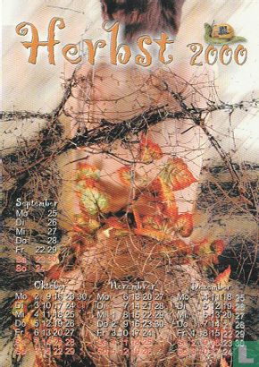 254 - Videoschuppen 003 & Erotikshop Spielwiese "Herbst 2000" - Afbeelding 1