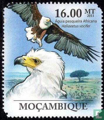 Die Fauna Mosambiks