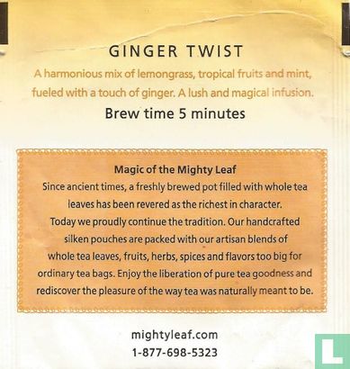 Ginger Twist  - Image 2