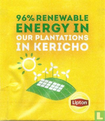 96% Renewable Energie In - Afbeelding 1