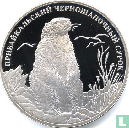 Russland 2 Rubel 2008 (PP) "Black-capped marmot" - Bild 2