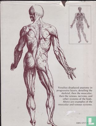 The anatomical drawings of Andreas Vesalius - Bild 2