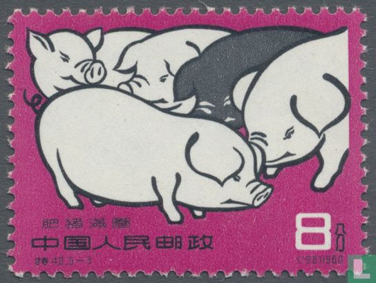 Schweine 