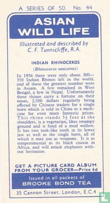 Indian Rhinoceros - Image 2